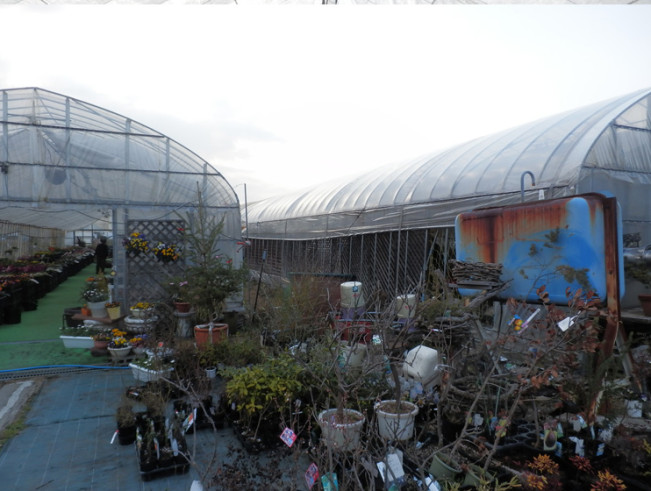 産地直売所に行ってきました♪　　　　　　　　