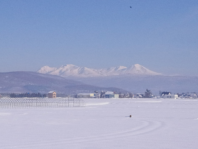 北海道旭川家具と大雪木工様への想い